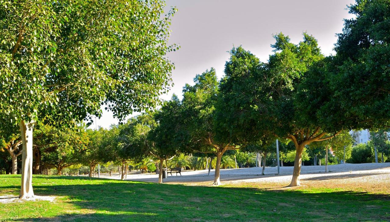 Myflats Brisas Del Sur Lejlighed Alicante Eksteriør billede