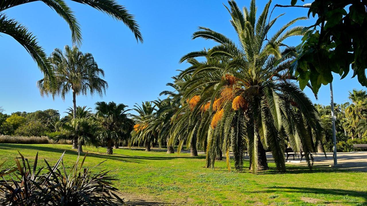 Myflats Brisas Del Sur Lejlighed Alicante Eksteriør billede